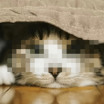 CSSだけで画像にモザイク処理を施すサンプル