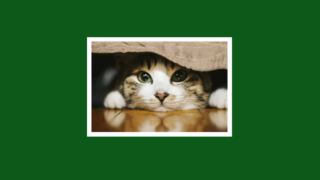 Thumbnail of post image 144