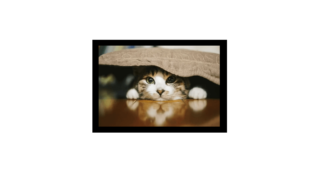 Thumbnail of post image 006